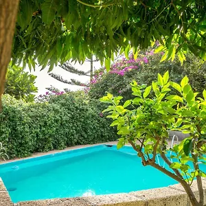 https://casitas-en-el-paraiso.in-canary-islands.com
